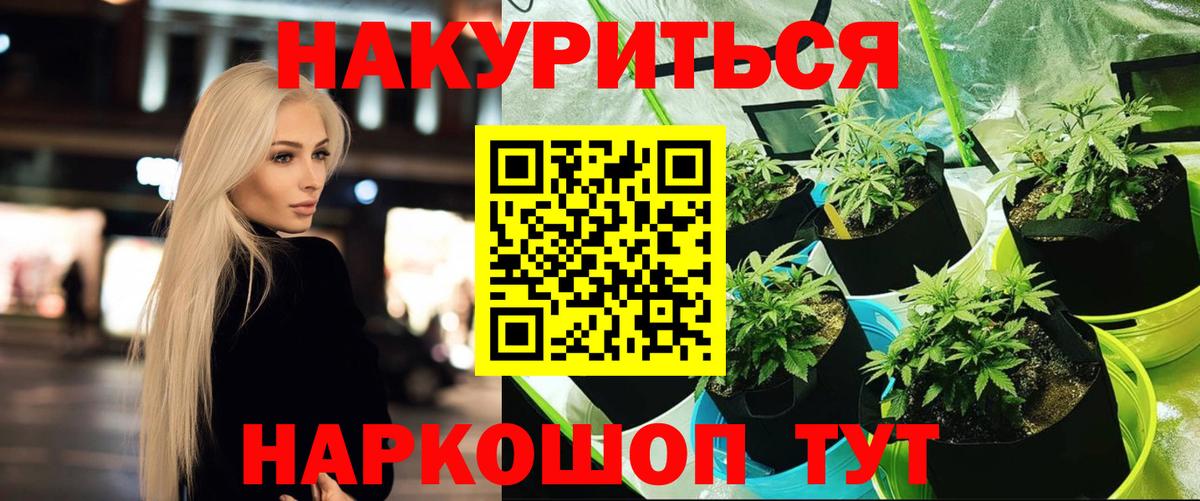 Бошки Шишки Amnesia Заволжье